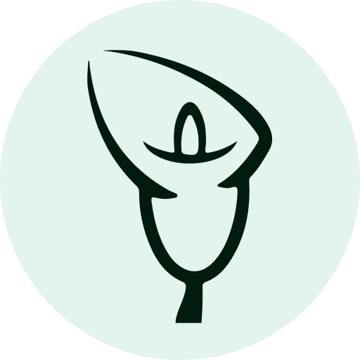 Anadeana logo